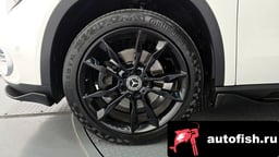 Миниатюра 5