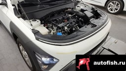 Миниатюра 6