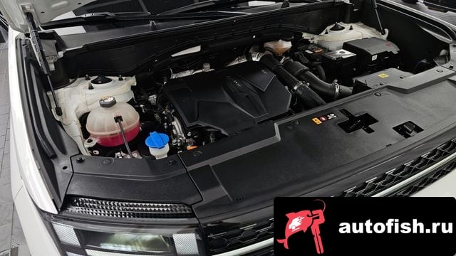 Hyundai Santafe San Tafe (MX5) 2023 года - вид 6