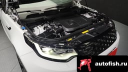 Миниатюра 6