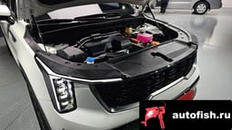 Миниатюра 6