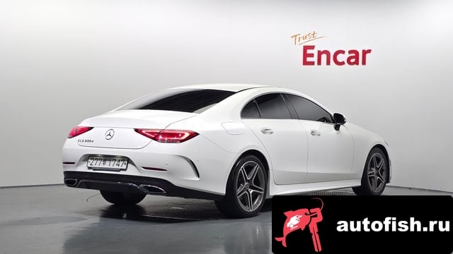 Mercedes-Benz CLS-Class CLS-Class C257 2019 года - вид 2