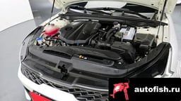 Миниатюра 6