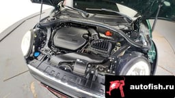 Миниатюра 6