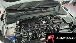 Миниатюра 6