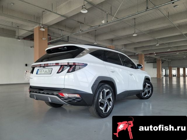 Hyundai Tucson Tucson (NX4) 2023 года - вид 2