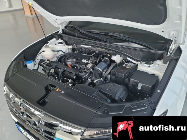 Hyundai Tucson Tucson (NX4) 2023 года - вид 6