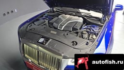 Миниатюра 6