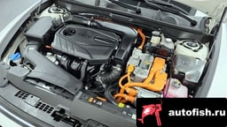 Миниатюра 6