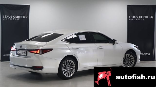 Lexus ES ES300h 7th generation 2024 года - вид 2