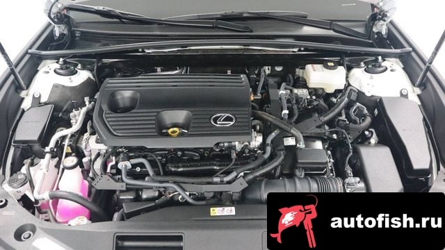 Lexus ES ES300h 7th generation 2024 года - вид 6