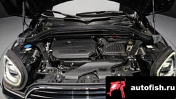 Миниатюра 6