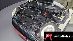 Миниатюра 6