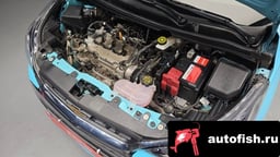 Миниатюра 6