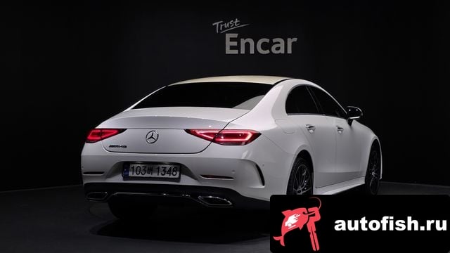 Mercedes-Benz CLS-Class CLS-Class C257 2019 года - вид 2
