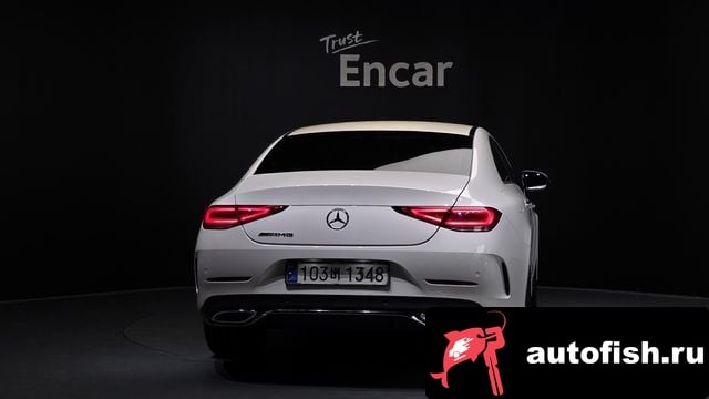 Mercedes-Benz CLS-Class CLS-Class C257 2019 года - вид 4