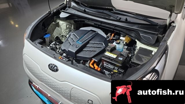 Kia Niro Niro EV 2019 года - вид 6