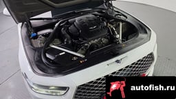 Миниатюра 6