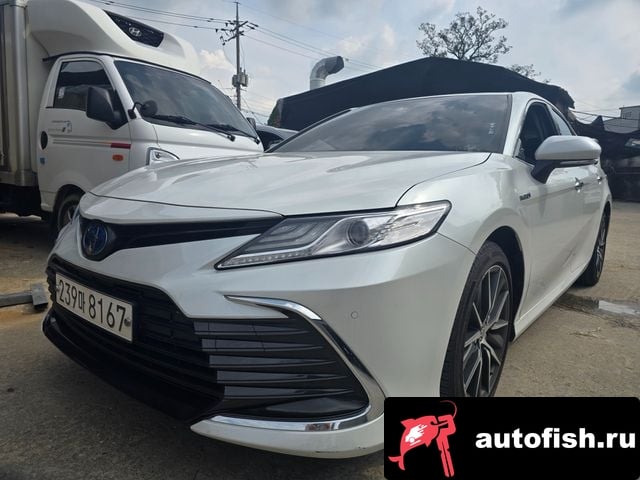 Toyota Camry Camry (XV70) 2023 года - вид 2