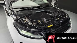 Миниатюра 6