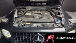 Миниатюра 6