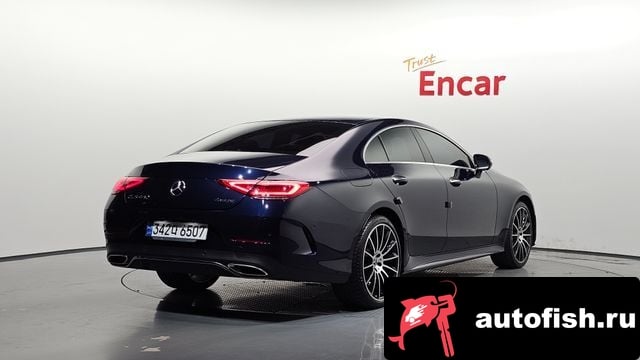 Mercedes-Benz CLS-Class CLS-Class C257 2020 года - вид 2