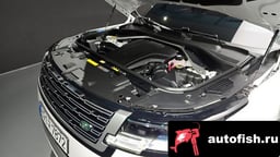 Миниатюра 6