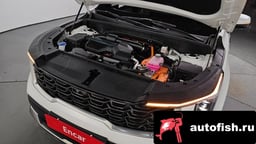 Миниатюра 6