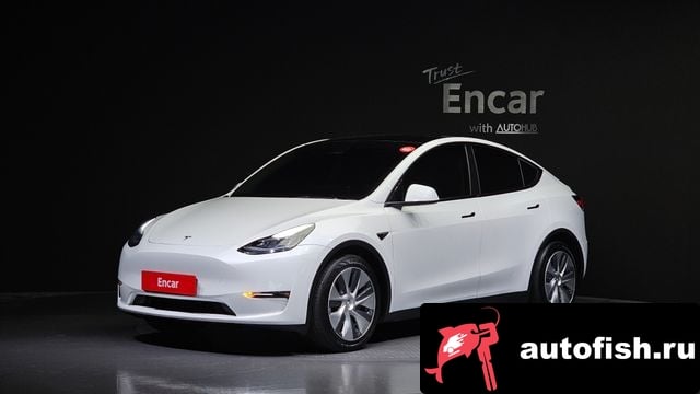 Tesla Model Y Model Y 2021 года - вид 1