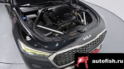 Миниатюра 6