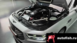 Миниатюра 6