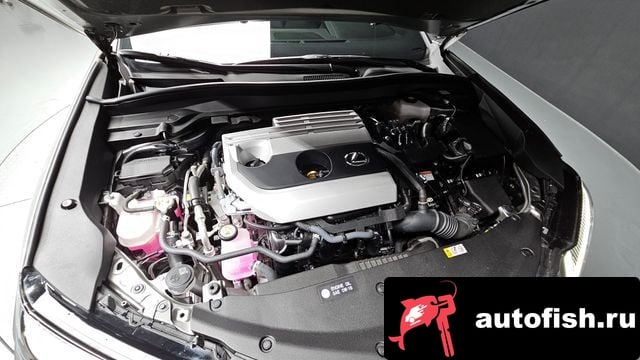 Lexus UX UX250h 2023 года - похожие автомобили