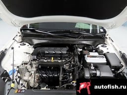 Миниатюра 6