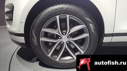 Миниатюра 5