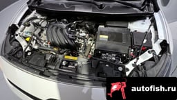 Миниатюра 6