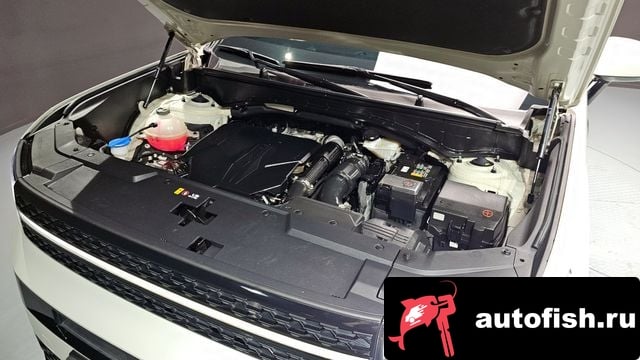 Hyundai Santafe San Tafe (MX5) 2024 года - вид 6