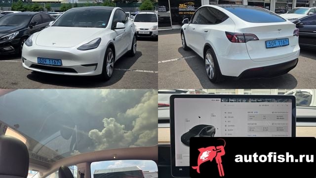 Tesla Model Y Model Y 2021 года - вид 1