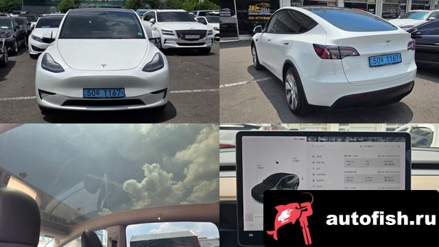 Tesla Model Y Model Y 2021 года - похожие автомобили