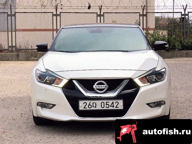 Nissan Maxima Maxima (A36) 2018 года - вид 1
