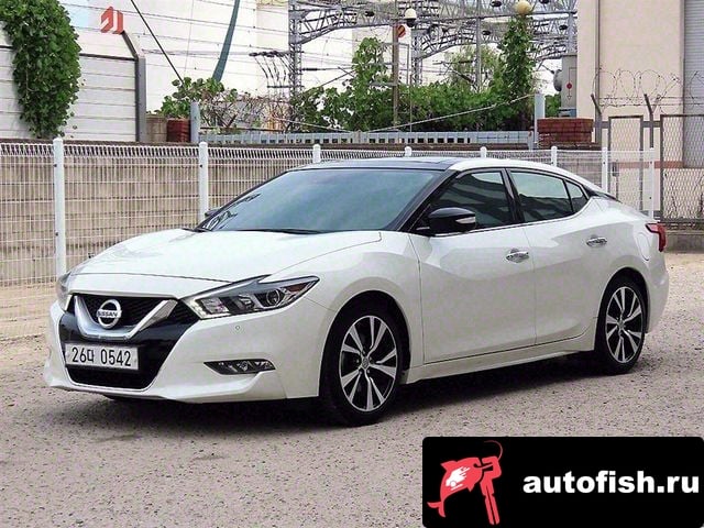 Nissan Maxima Maxima (A36) 2018 года - вид 2