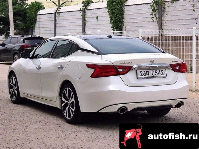 Nissan Maxima Maxima (A36) 2018 года - похожие автомобили