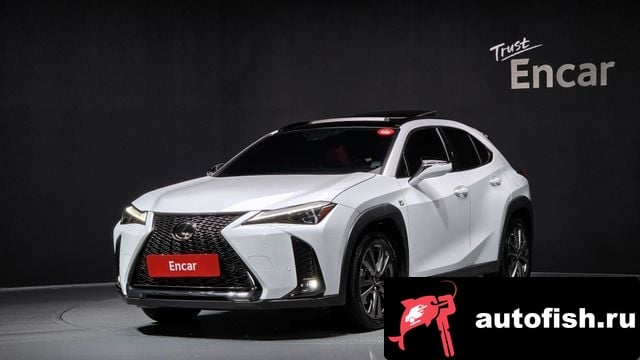 Lexus UX UX250h 2024 года - вид 1
