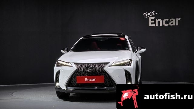 Lexus UX UX250h 2024 года - вид 3