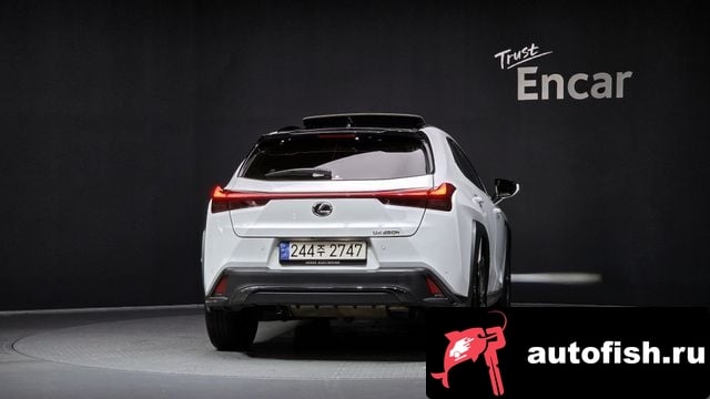 Lexus UX UX250h 2024 года - вид 4
