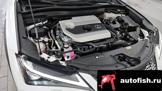 Lexus UX UX250h 2024 года - вид 6
