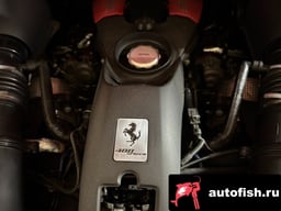 Миниатюра 6