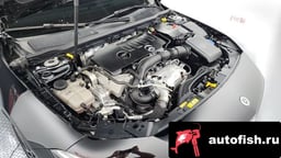 Миниатюра 6