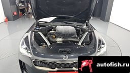 Миниатюра 6