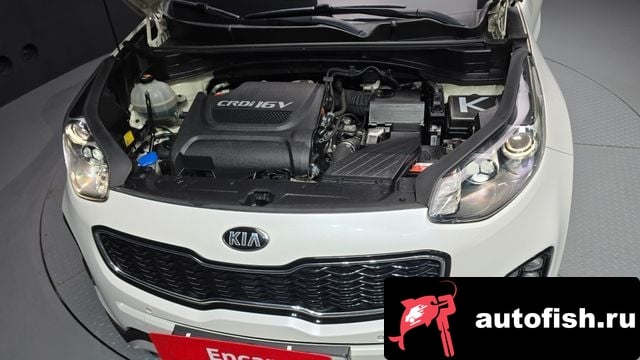 Kia Sportage Sportage 4th Generation 2018 года - вид 6