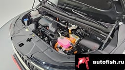 Миниатюра 6